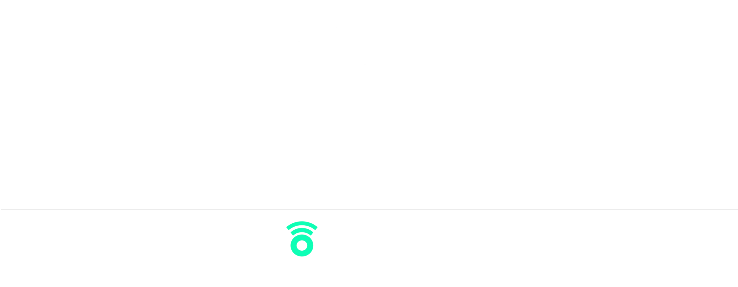 Footer Logo